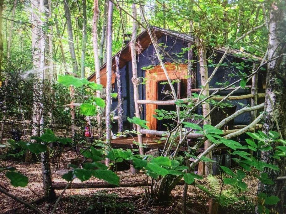 Cosy Woodland Romantic Retreat With Log Fires And Nature Sturry Exterior photo